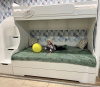 Кровать БИГ (дуб каньон + белый) 200х120 от Династия Kids